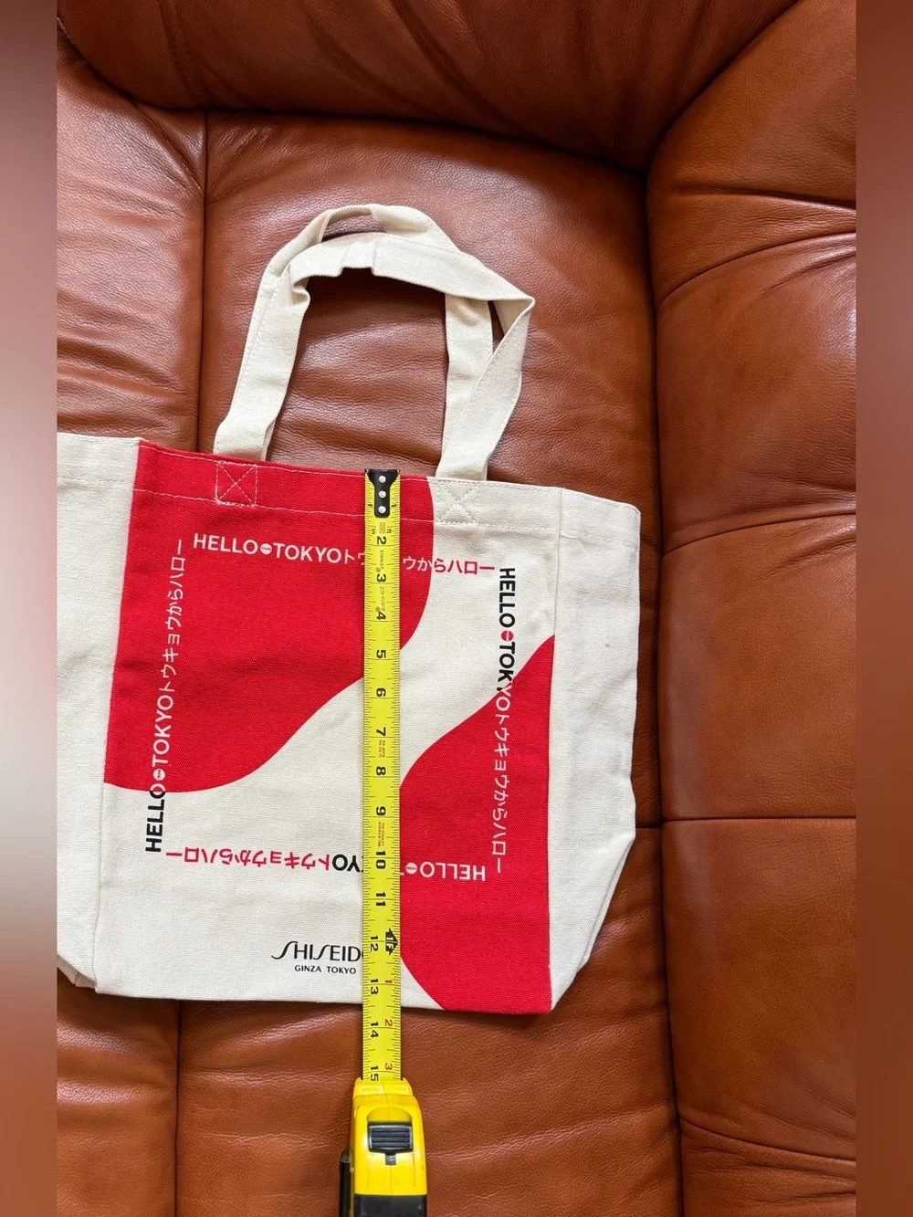 NEW Shiseido Bag